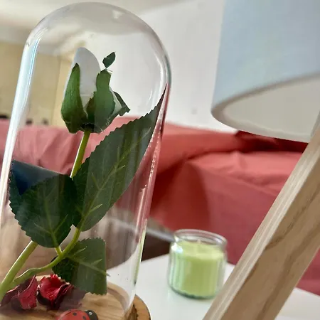 Dori Accommodatie bij particulieren *