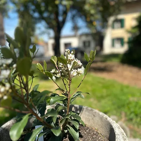 Dori * San Lorenzo (Friuli-Venezia Giulia)